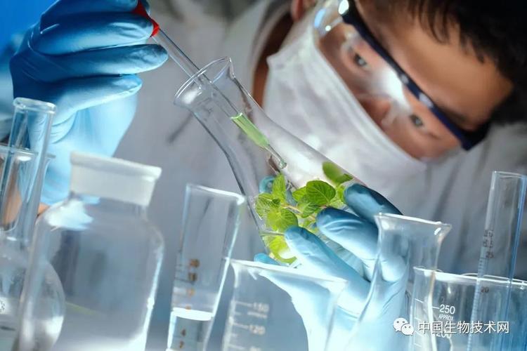 技术与想法 生物科学技术研究的双螺旋